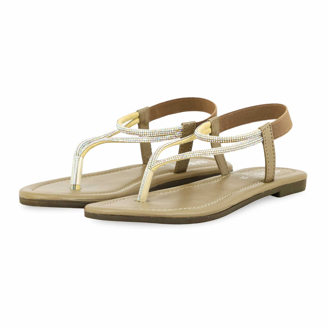 Brown Casual Chappal CL1981