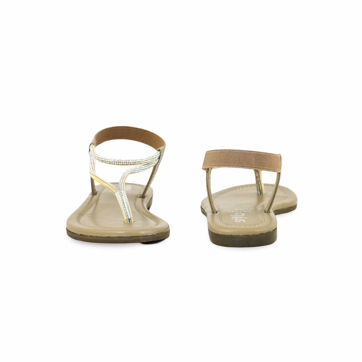 Brown Casual Chappal CL1981