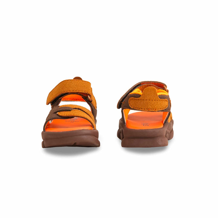 Boys Brown Formal Sandal KD4862