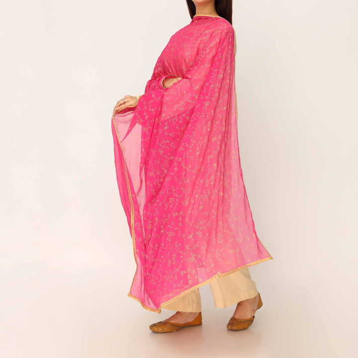 Skpink Screen Printed Chiffon Dupatta PD5389