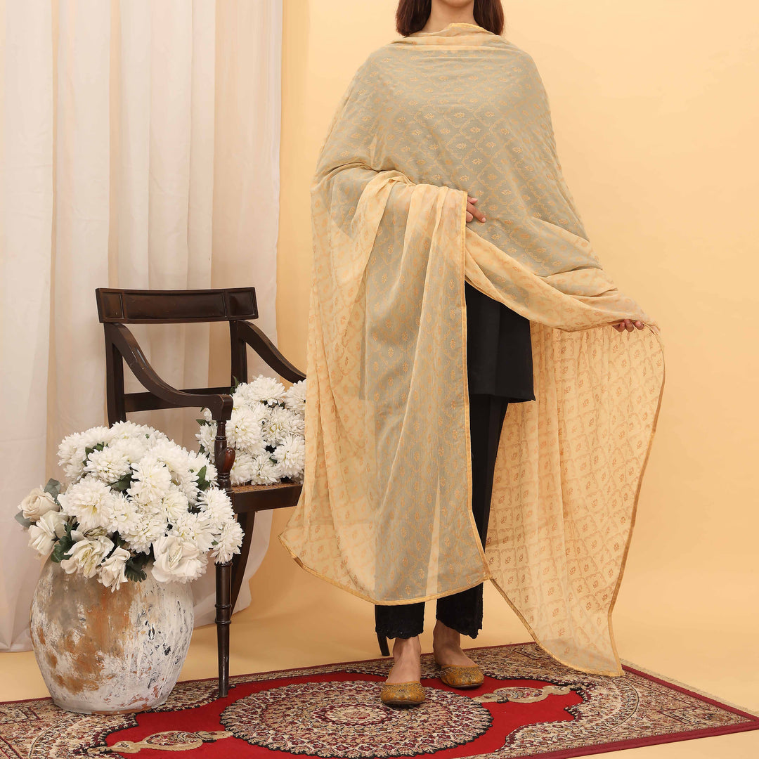Beige Screen Printed Chiffon Dupatta PD5390