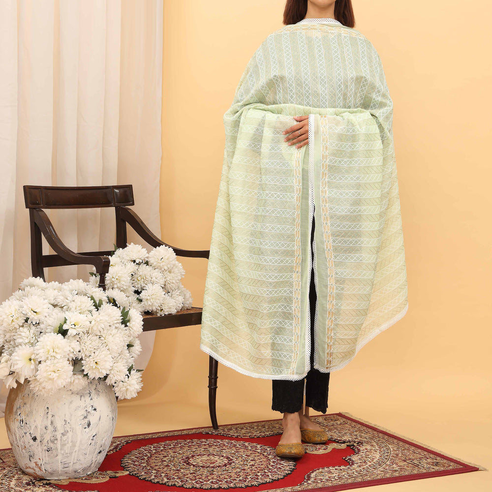 Pista Embroidered Dupatta PD5434