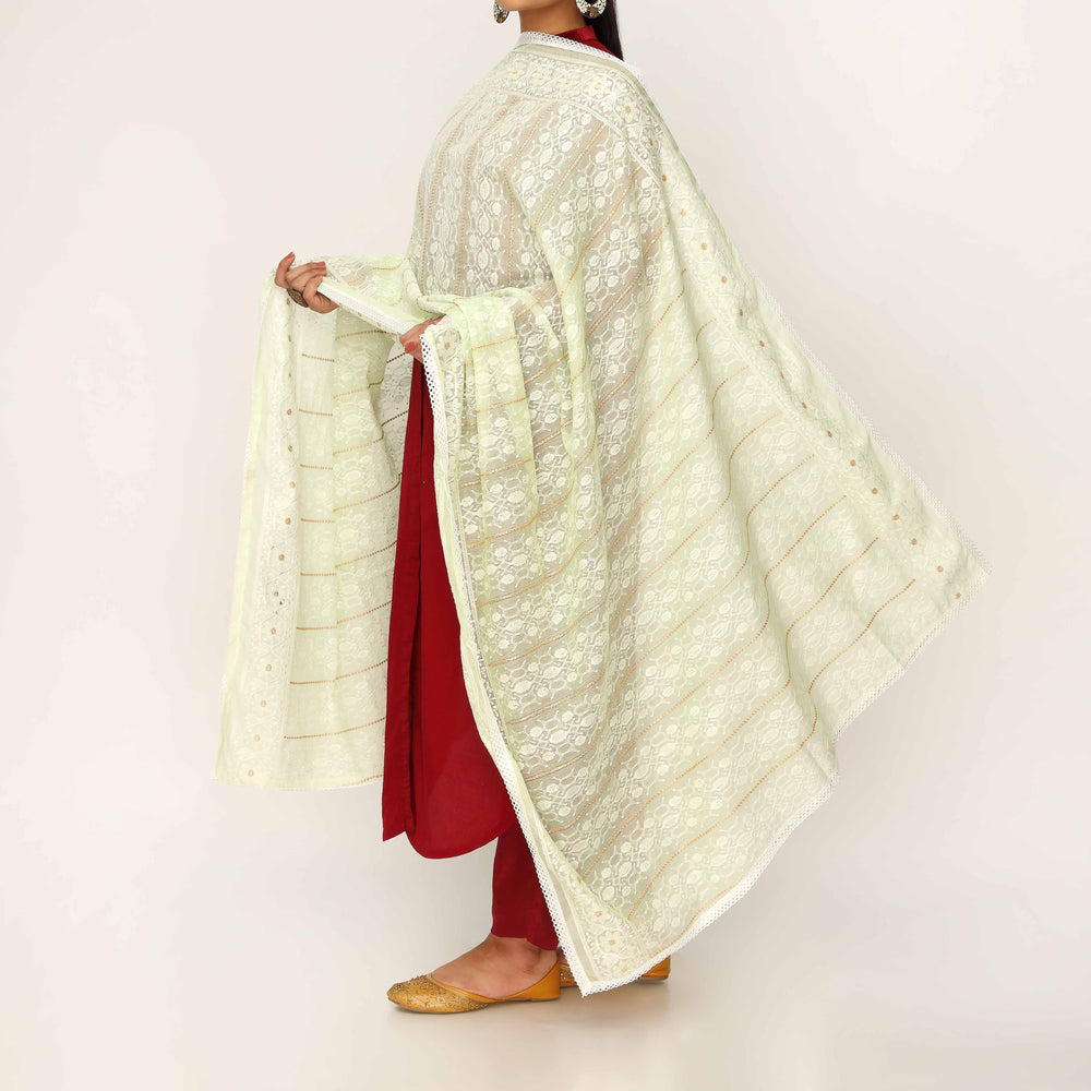 Pista Embroidered Dupatta PD5465