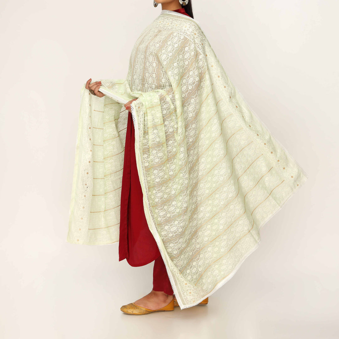 Pista Embroidered Dupatta PD5465