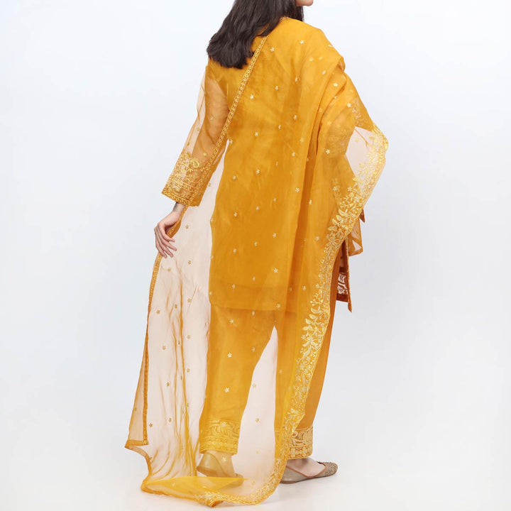 3PC- Embellished Organza Suit PF3042