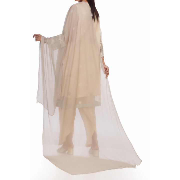 Grey Plain Dyed Chiffon Dupatta PS2702