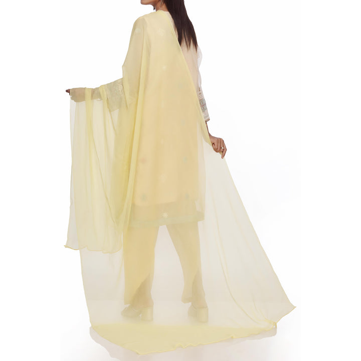 Yellow Plain Dyed Chiffon Dupatta PS2702