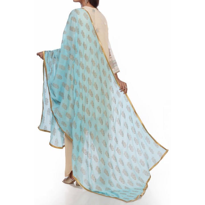 Sky Blue Screen Printed Chiffon Dupatta PS2703