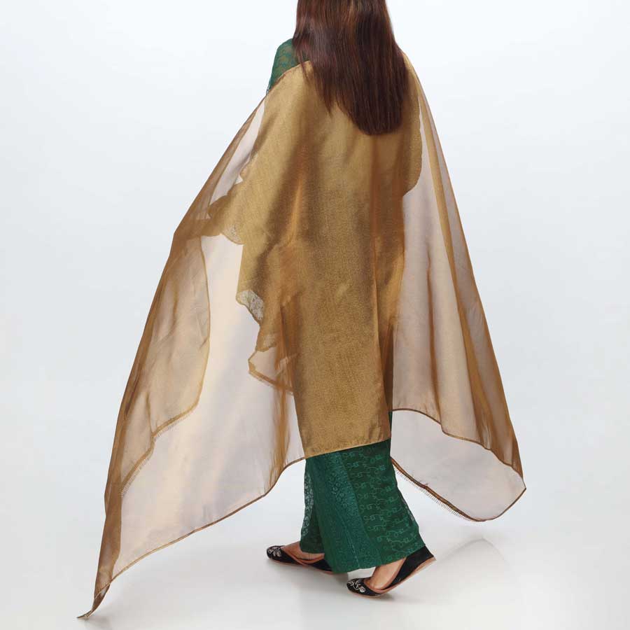 Copper Plain Tissue Dupatta PS4705