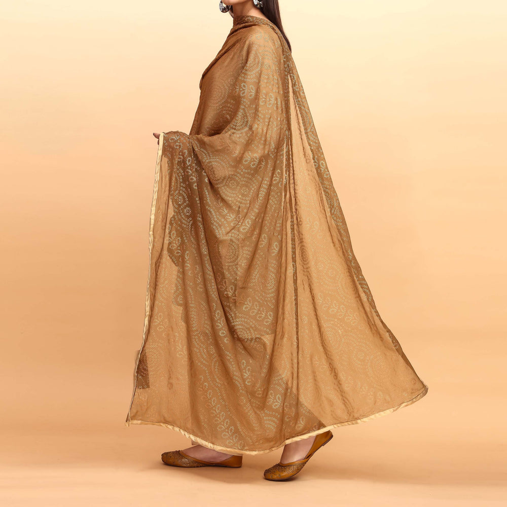 Brown Plain Chiffon Dupatta PS4707