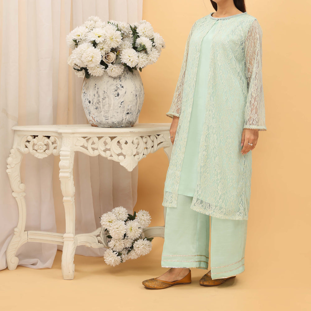 2PC- Lace Net Gown With Neck Embroidery And Raw Silk Suit PS4965