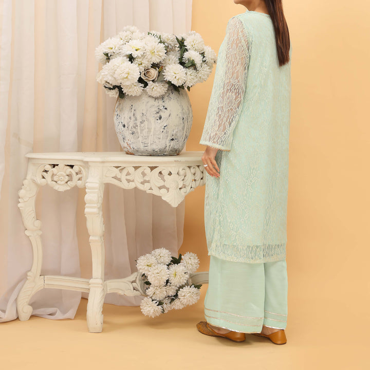 2PC- Lace Net Gown With Neck Embroidery And Raw Silk Suit PS4965