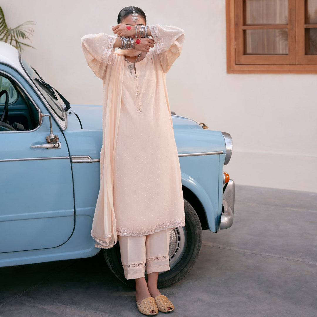 3PC- Chiffon Zari Suit PS5076