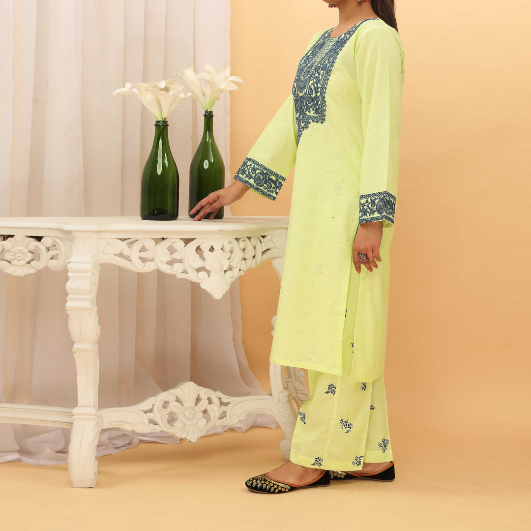 2PC- Yarn Dyed Embroiderd Karandi Suit PS5197