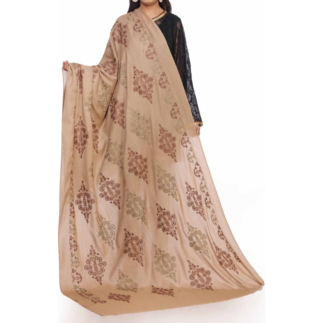 Brown Embroidered  Shawl PW2716