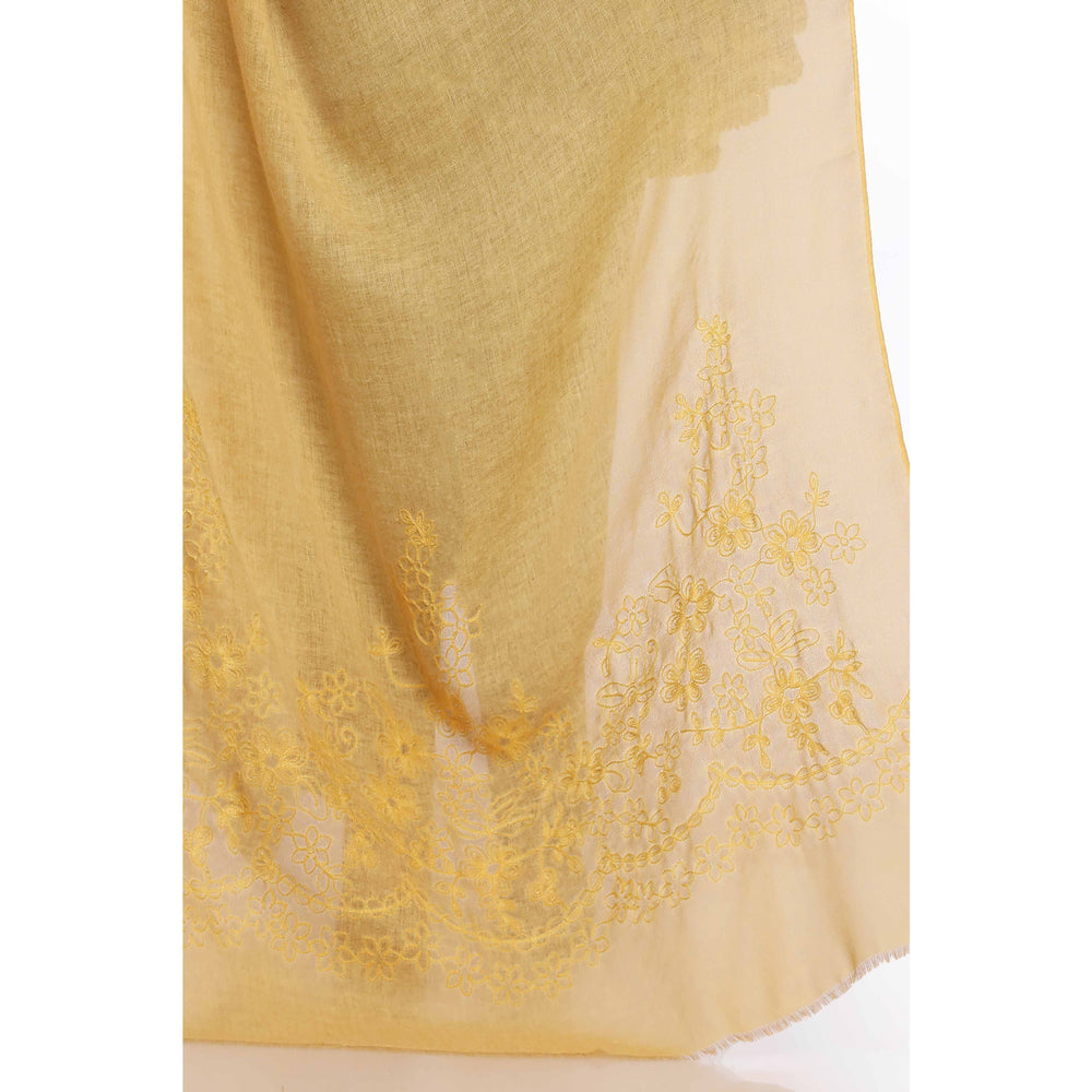 Yellow Aari Embroidered Shawl PW2736