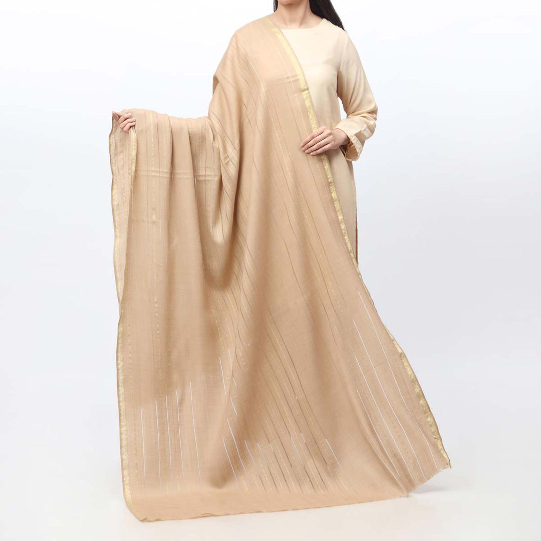 Khaki Zari Border Shawl PW3709