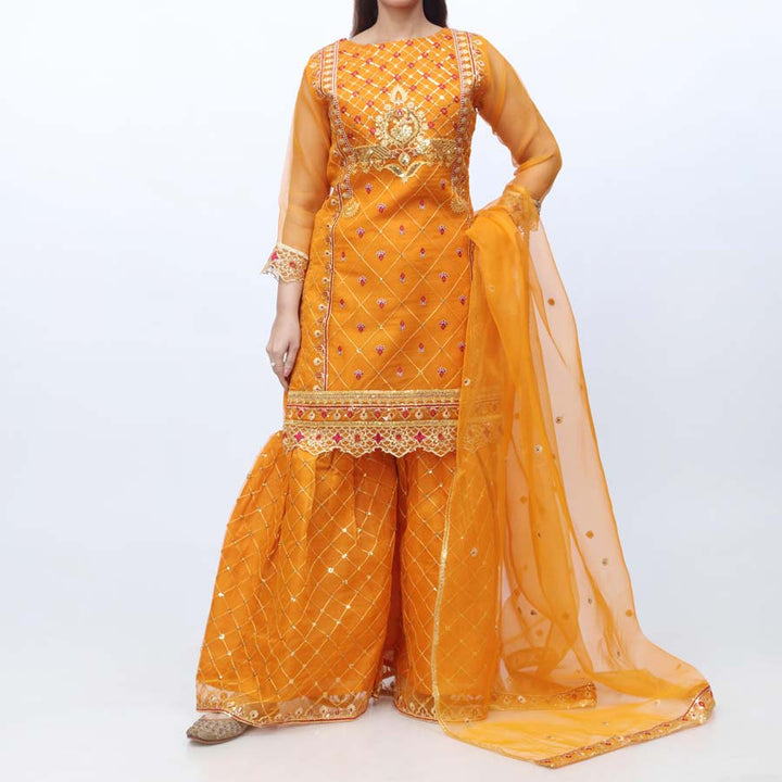 3PC- Embellished Organza Suit PW9088