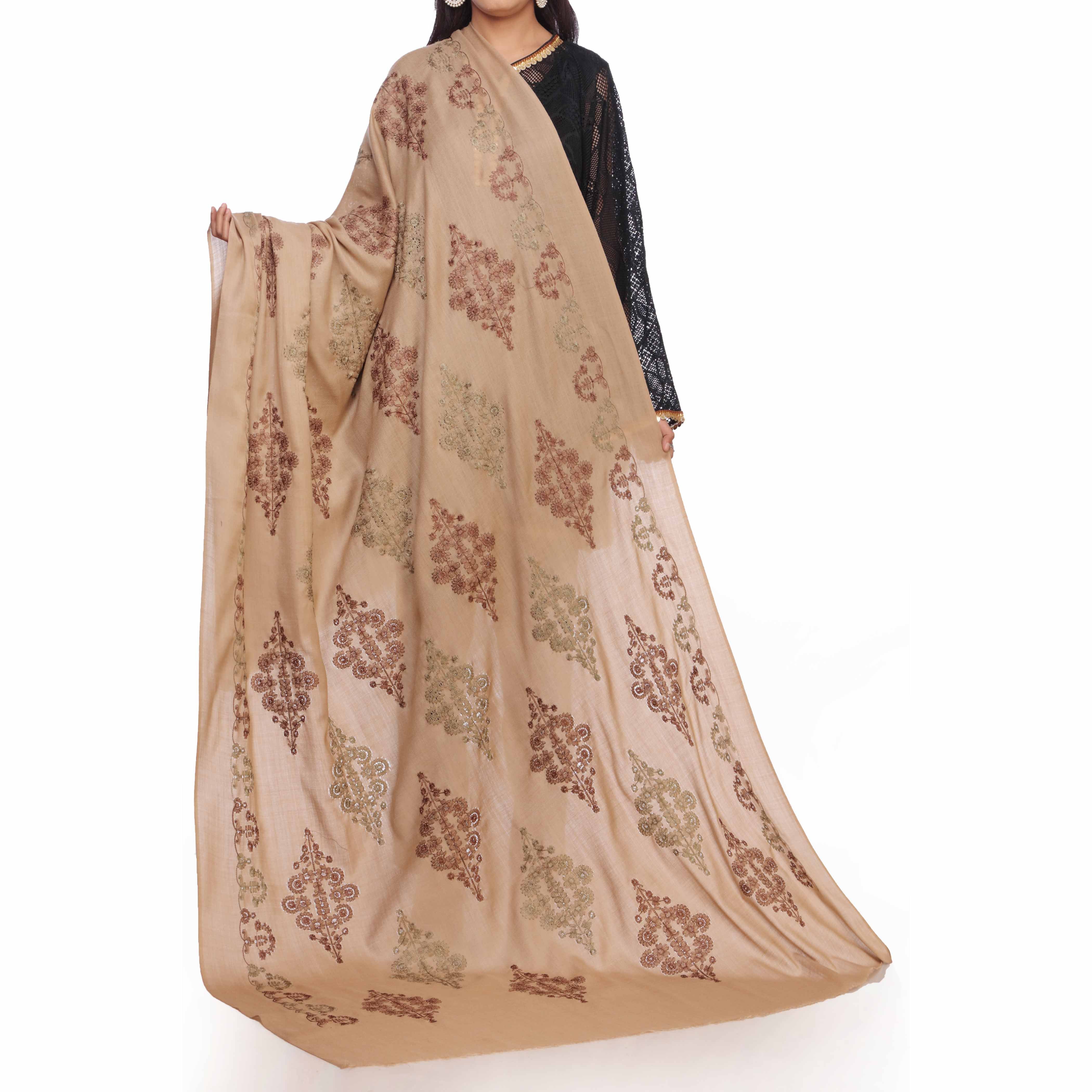 Brown Embroidered  Shawl PW2716